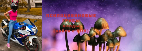 бошки Алексеевка