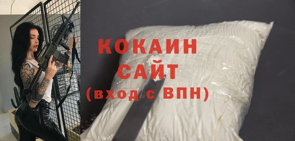 СК Алексин