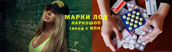 ECSTASY Алзамай
