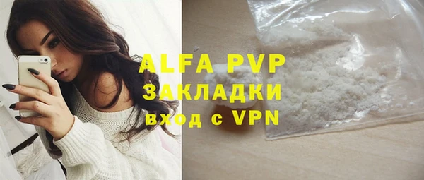 СК Алексин
