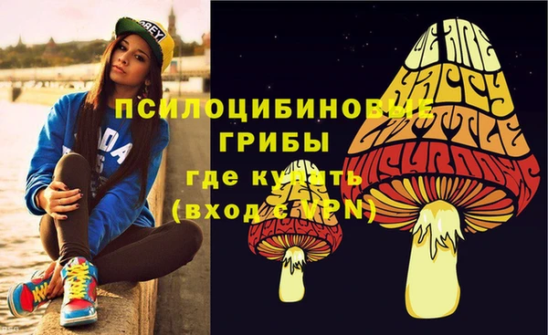 ECSTASY Алзамай
