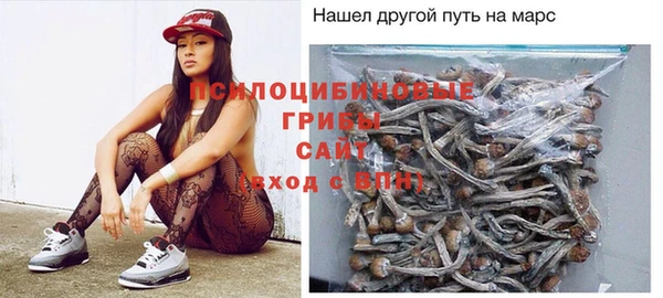 бошки Алексеевка