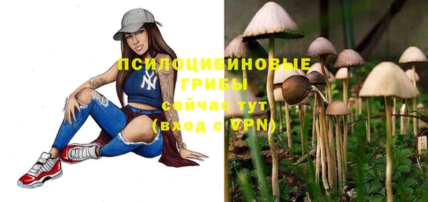 ECSTASY Алзамай