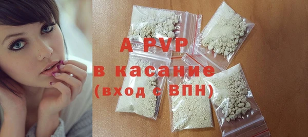 СК Алексин