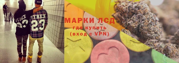 СК Алексин
