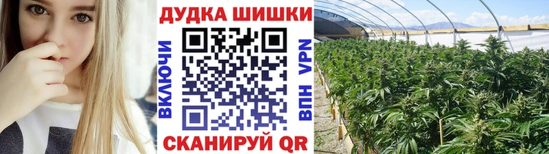 Каннабис гибрид Осинники